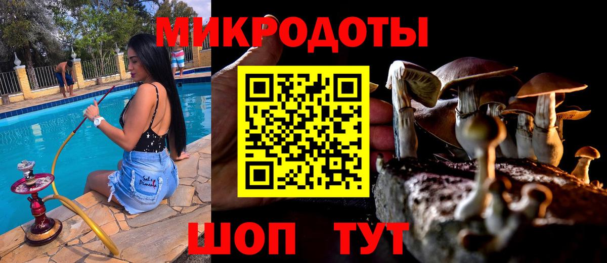 Псилоцибиновые грибы ЛСД Тулун